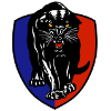 Trực tiếp bóng đá - logo đội Adelaide Panthers