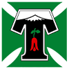Trực tiếp bóng đá - logo đội Deportes Temuco