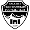 Trực tiếp bóng đá - logo đội Flint Mountain