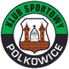 Trực tiếp bóng đá - logo đội Gornik Polkowice
