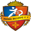 Trực tiếp bóng đá - logo đội Hunan Billows