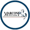 Trực tiếp bóng đá - logo đội Marconi Stallions U20
