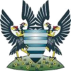 Trực tiếp bóng đá - logo đội Salisbury FC
