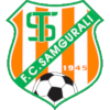 Trực tiếp bóng đá - logo đội Samgurali Tskh