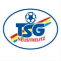 Trực tiếp bóng đá - logo đội TSG Neustrelitz