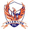 Trực tiếp bóng đá - logo đội Valentine