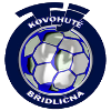 Trực tiếp bóng đá - logo đội Bridlicna