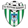 Trực tiếp bóng đá - logo đội Bzenec