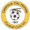 Trực tiếp bóng đá - logo đội Cessnock City Hornets