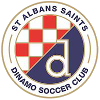 Trực tiếp bóng đá - logo đội St Albans Saints